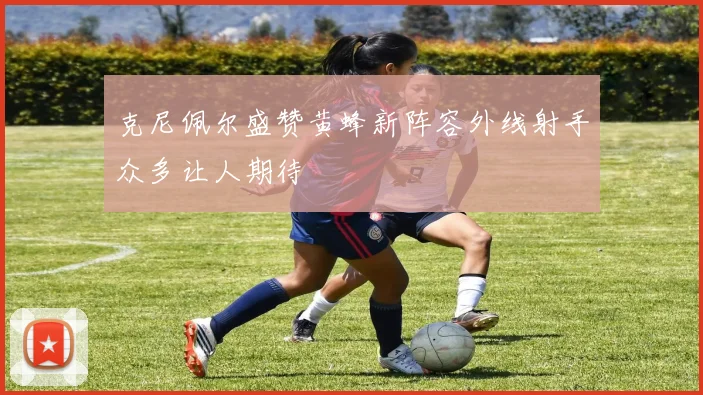 克尼佩尔盛赞黄蜂新阵容外线射手众多让人期待